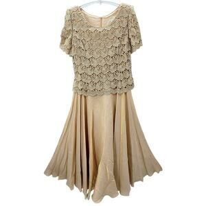 Michaelangelo Pink Iridescent Chiffon Lace Formal Short Sleeve Fit n Flare Dress